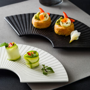 creative fan shaped plate series